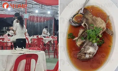 Family turned off by $404 CNY dinner at basketball court: 'We award 0.5 stars'