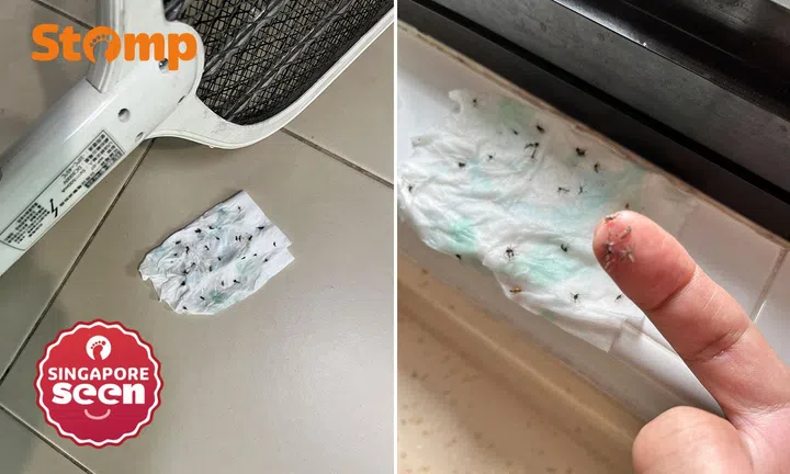 Yishun and Dover residents complain of mosquito surge, with one saying he killed '50 or more'