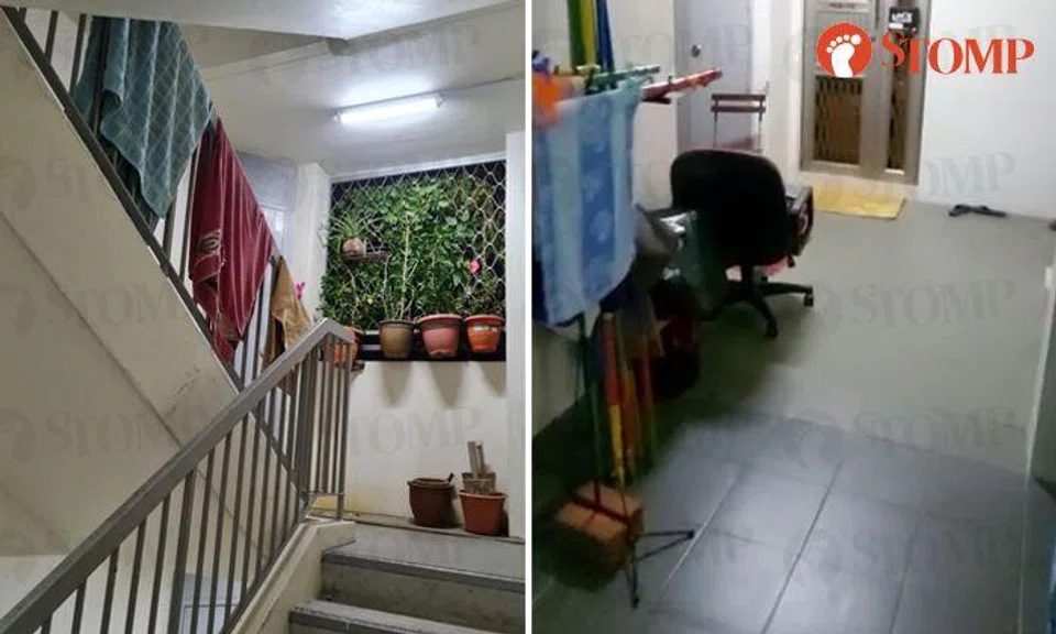 Pasir Ris family leaves potted plants on window ledge, carpets on staircase railing