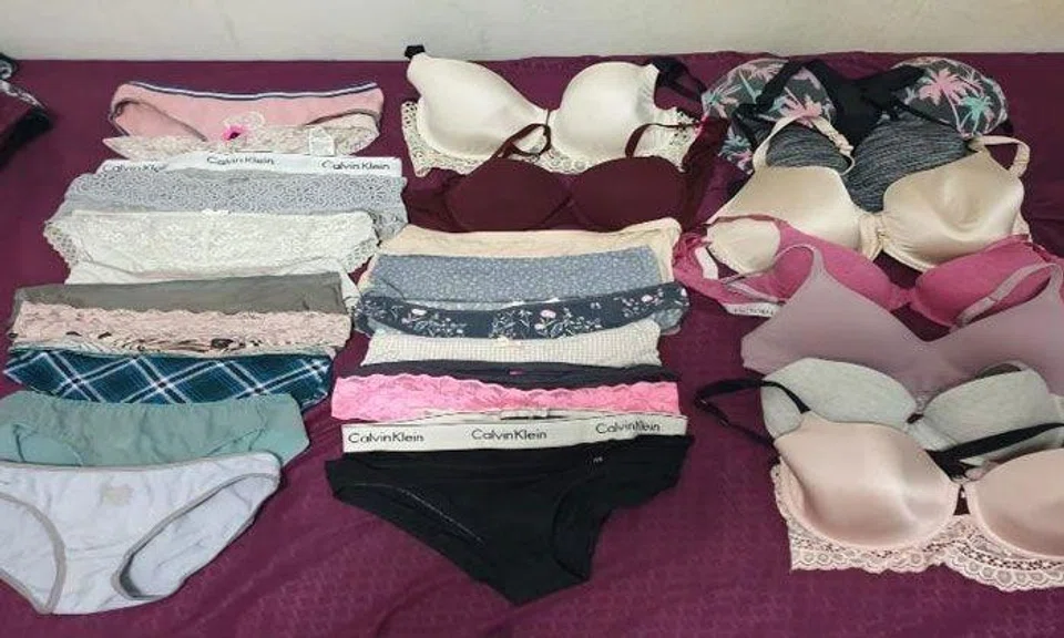 PHOTO: SINGAPORE POLICE FORCE