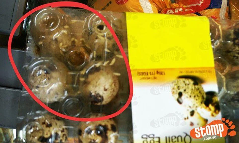 Don't be a 'blur sotong' shopper, or you could end up with more than you bargained for