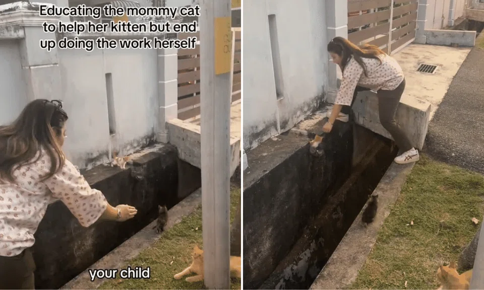The woman rescued a kitten from a ledge across a drain. 