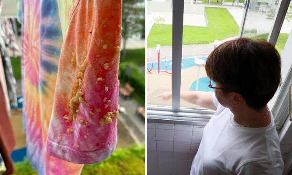 Crumbs, wet rice and even laksa: Ang Mo Kio resident keeps throwing food scraps out of window