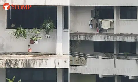 Potted plants, laundry racks on parapet of Bedok North block: 'Problem is you can't see from ground level'