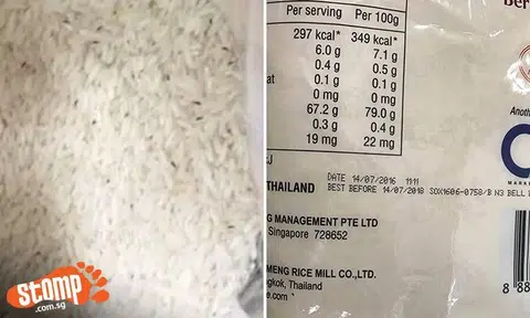 Eewww: Stomper shocked to find new rice packets purchased from supermarket infested with weevils