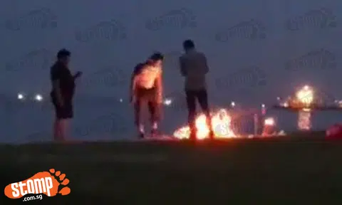 Burning of offerings in public parks is not allowed: NParks