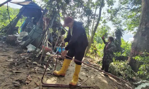 The Secret Garden: Retiree ordered to clear 10-year-old mini farm in CCK forest