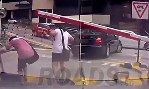 When humans think they're cars