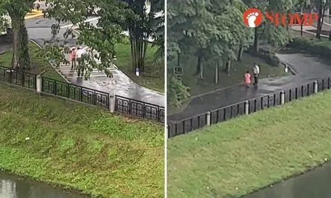 Stomper Joy shared a video of the incident at Bendemeer Road on Dec 11.