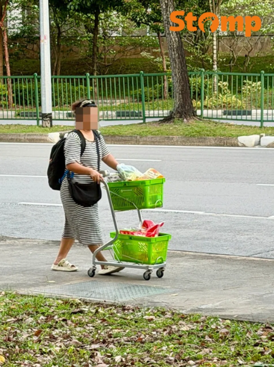 Woman pushes Sheng Siong trolley