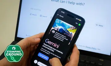 AI may not replace entry-level jobs