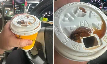 customer spits out moth from mcdonald’s coffee order