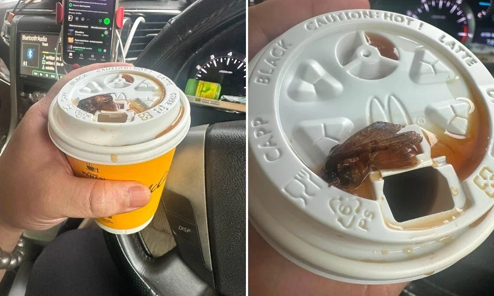 customer spits out moth from mcdonald’s coffee order