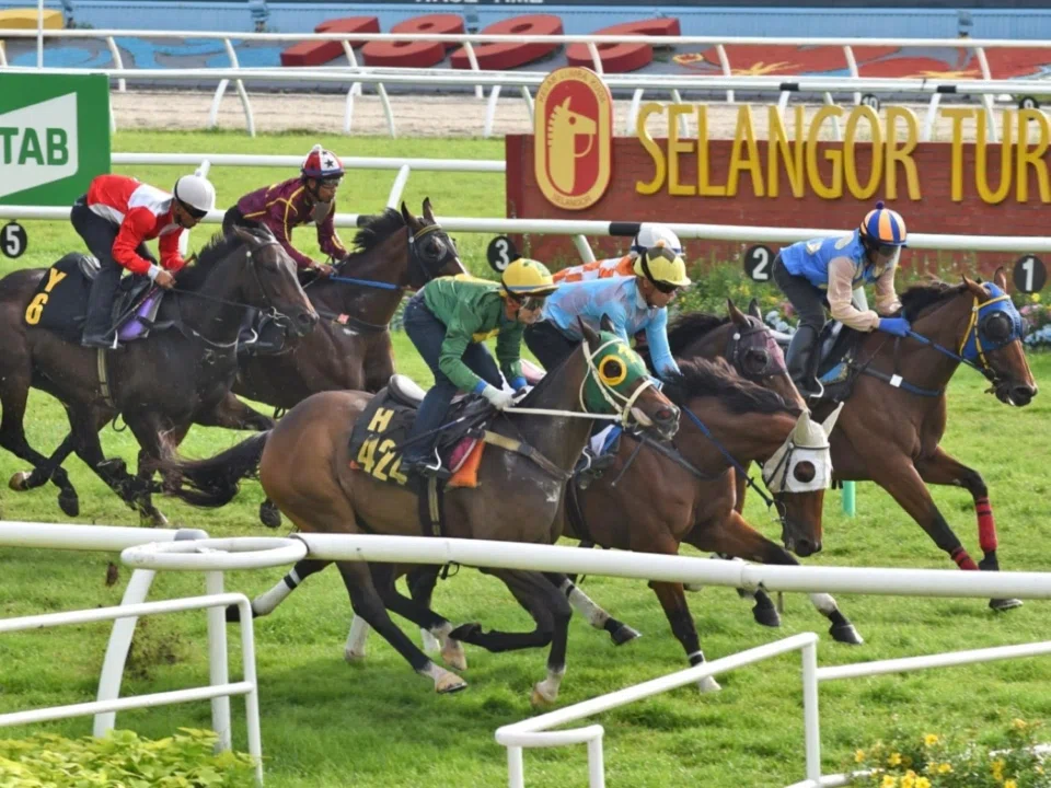 A cluster of horses fighting out the first barrier trial at Sungai Besi on April 8 with Aeras (Andre da Silva) in the white hood just edging out Circuit Mission (Nazir Aiman, H424). 
