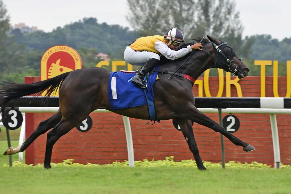 Awesome Storm (Tuan Ammar) making every post a winning one in the Metro A race (1,200m) on Sept 21, 2024. With a rating of 116, he will spearhead Dunderdale's team in the Group 1 Tunku Gold Cup (1,200m) on March 16. 