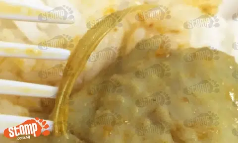 'Like striking lottery': Diner finds feather on his curry chicken from Plaza Sing