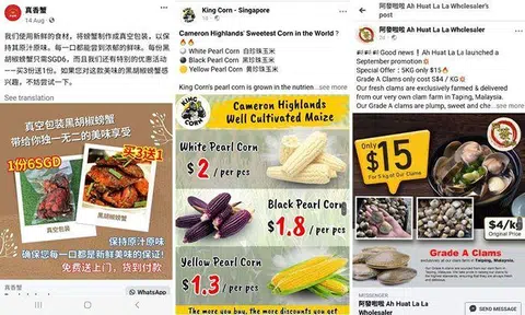 Android phone users lose $10 million to malware scam which executes unauthorised banking transactions