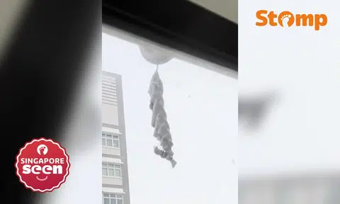 ‘Corkscrew’ nest hanging outside Bukit Batok flat leaves Stomper puzzled