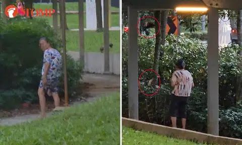 Woman who got Stomped for feeding birds in Bishan makes a comeback after 3 months