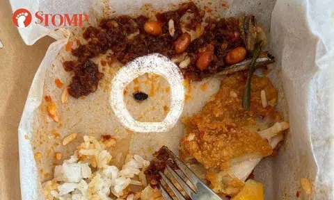 A Stomper shared photos of the dead bug amid the half-eaten food in a takeaway container.