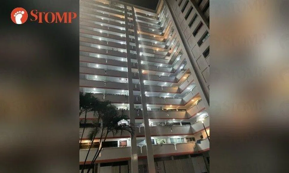 Stomper Tay shared photos of the unusual sight at Block 485D Choa Chu Kang Avenue 5 on Dec 16.