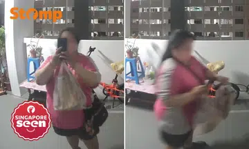 Foodpanda rider takes back McDonald’s food delivery