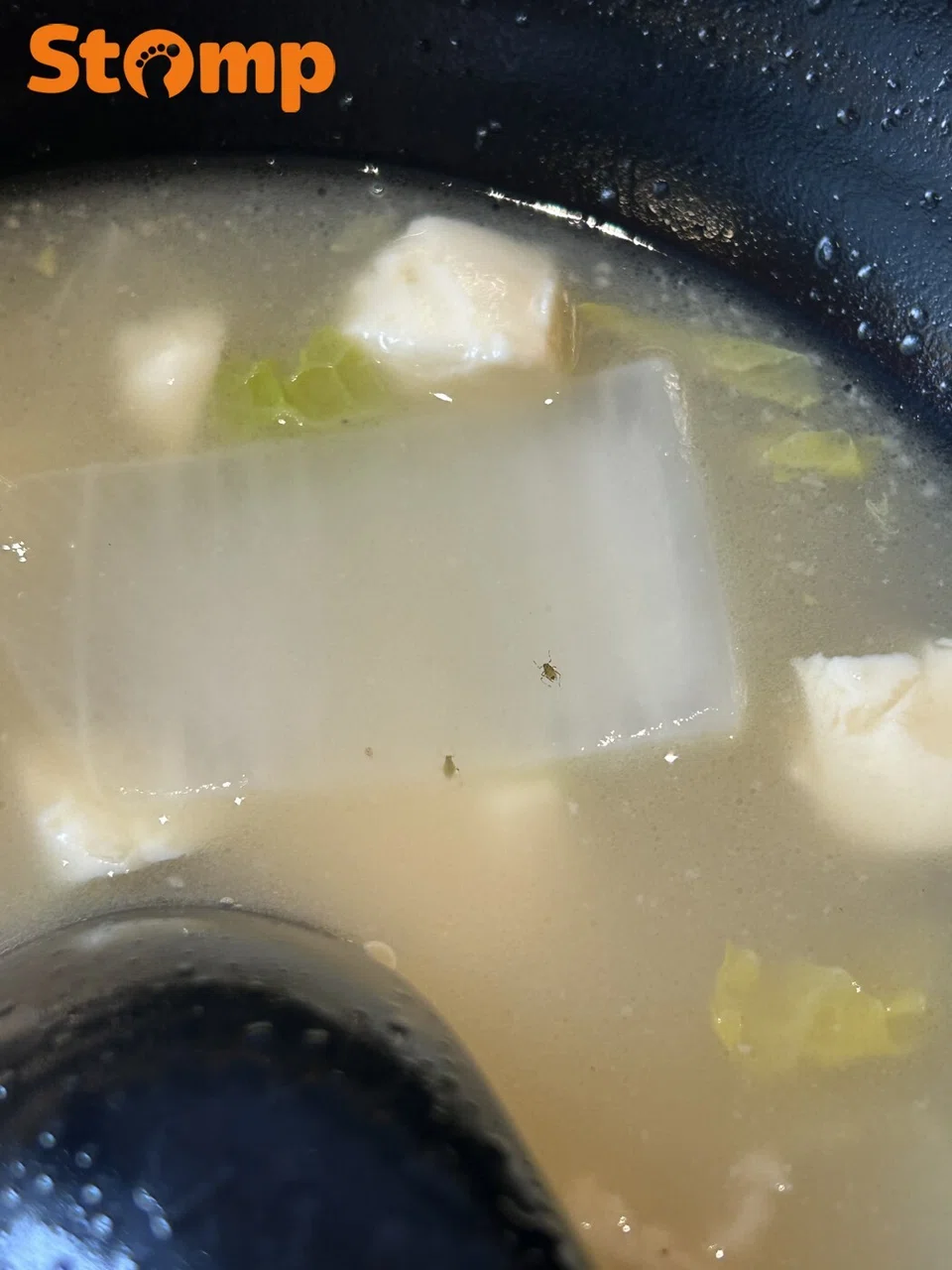 Insects found in Novena food stall soup