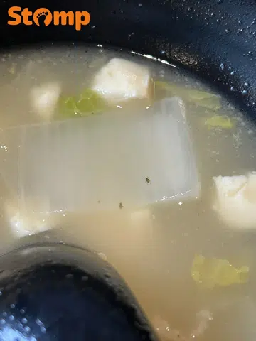 Insects found in Novena food stall soup