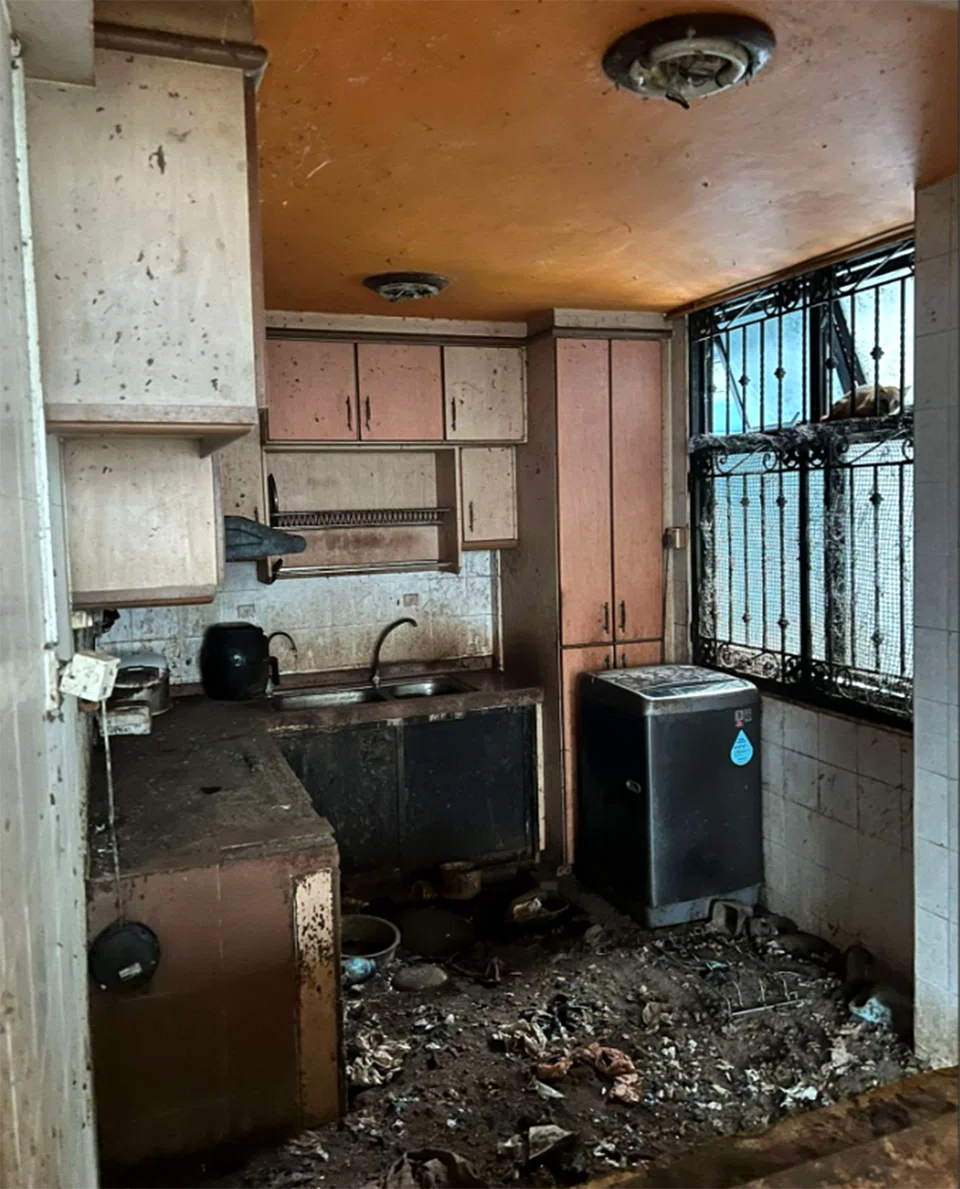 Man jailed for abandoning 71 cats in HDB flat for 2 years
