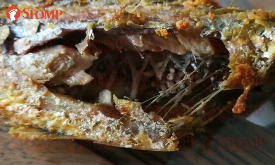 For real? Circulated video claims maggot-infested nasi lemak fish was bought from Changi Village