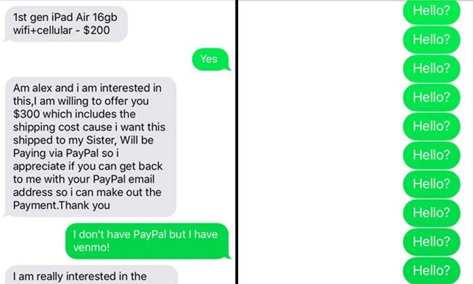 How this girl brilliantly trolled online scammer will make you LOL
