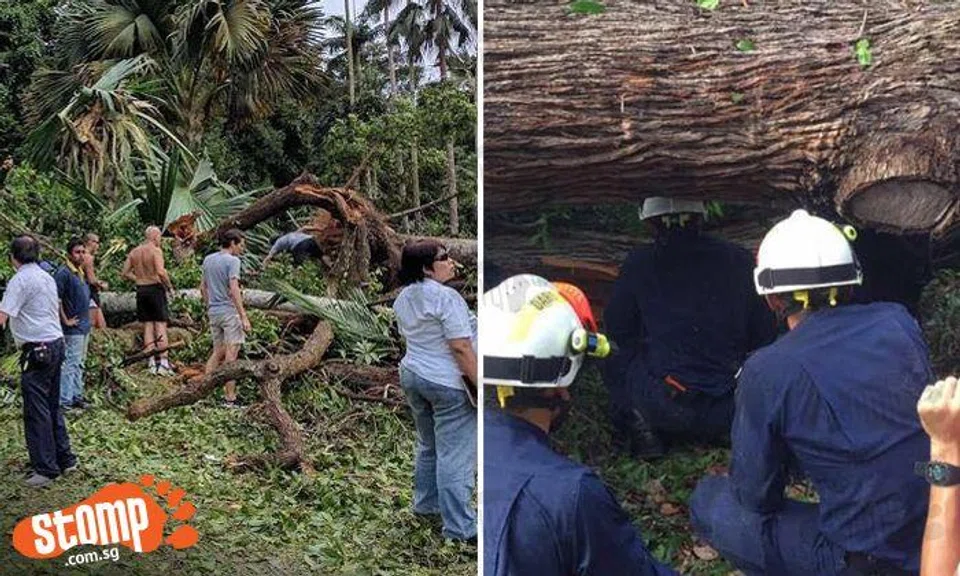 1 dead and 4 injured at Botanic Gardens: 38-year-old deceased woman was marketing chief at Fastacash