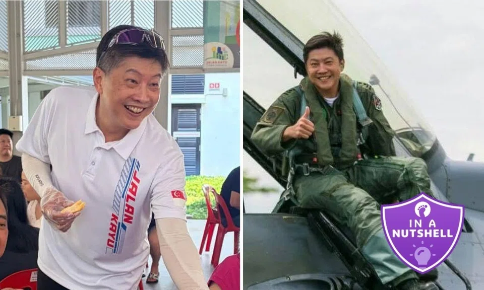 Ng Chee Meng cabinet