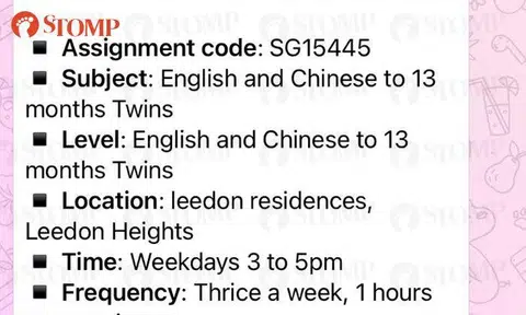 Ad for language tutor for twins aged 13 months sparks debate