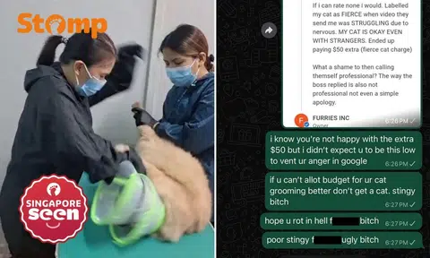 pet groomer calls cat owner bitch