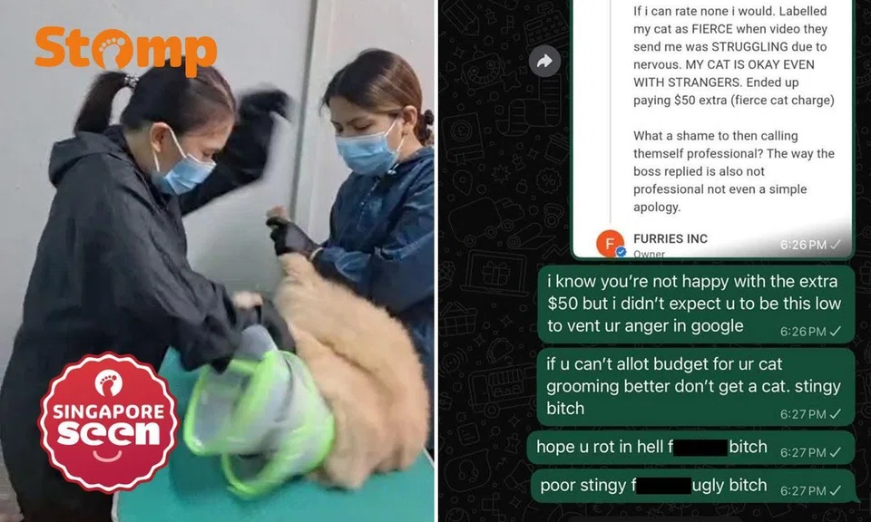 pet groomer calls cat owner bitch