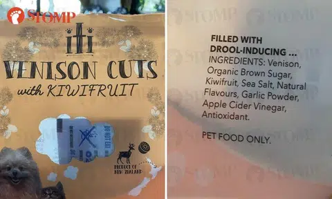 Is garlic toxic to dogs? Manufacturer responds to concerns over ingredient in pet treats
