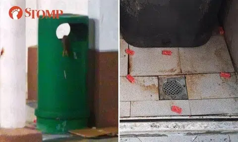 'Rat'-tling bins scare Bukit Batok residents at night, town council using rodenticide for extermination