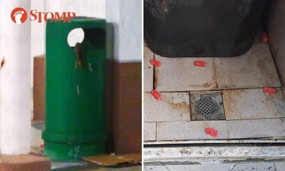 'Rat'-tling bins scare Bukit Batok residents at night, town council using rodenticide for extermination