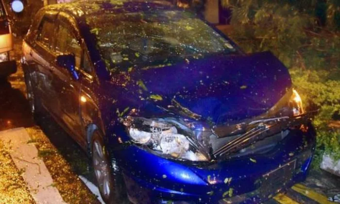 "Lucky to escape alive" says man after massive tree branch falls on car ...