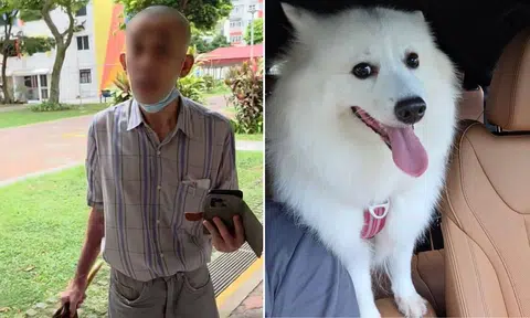 The elderly man (left) insisted the Japanese Spitz needed to be muzzled.