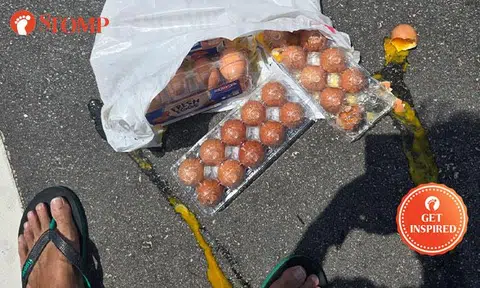 kind woman helps foodpana rider who fell off egg