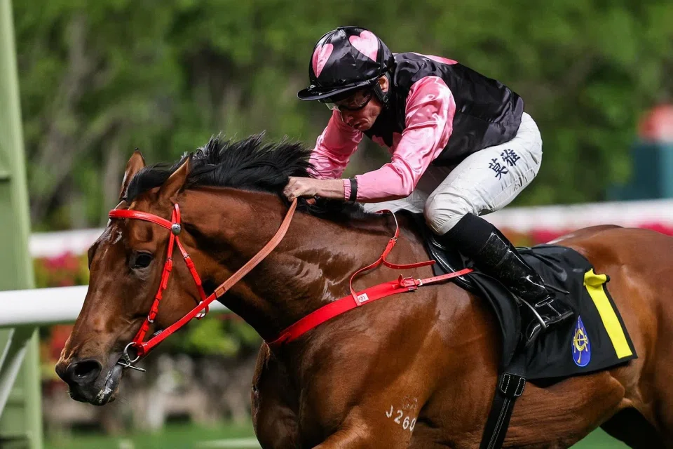 Beauty Alliance (Ryan Moore) kicking clear en route to a facile victory in a Class 4 race (1,800m) on March 5.