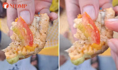 Subway apologises, offers refund and meal voucher after woman finds wriggling 'worm' in sandwich