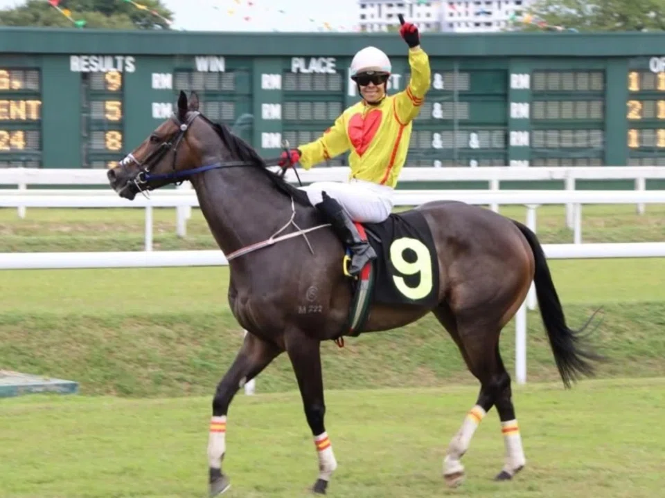 Lucky Magic (Andre da Silva) after landing the Group 1 Yang Di-Pertua Negeri Penang Gold Cup (2,000m) at Batu Gantong on Dec 29, 2024. It was to be the last renewal of Penang's most prestigious race.