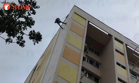 'Spiderman' leaves Tampines resident on tenterhooks