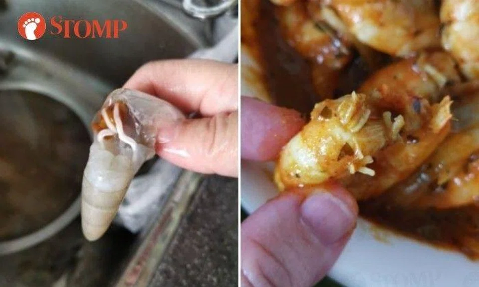 Seen this 'worm' inside your prawns? It's actually a male reproductive organ