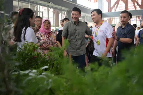 Nearly half of Tengah's 30,000 planned flats ready by end-2025: Chee Hong Tat