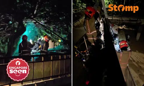 4 stuck on Labrador Jetty for 3 hours after fallen tree blocks exit, SCDF arrives to rescue them