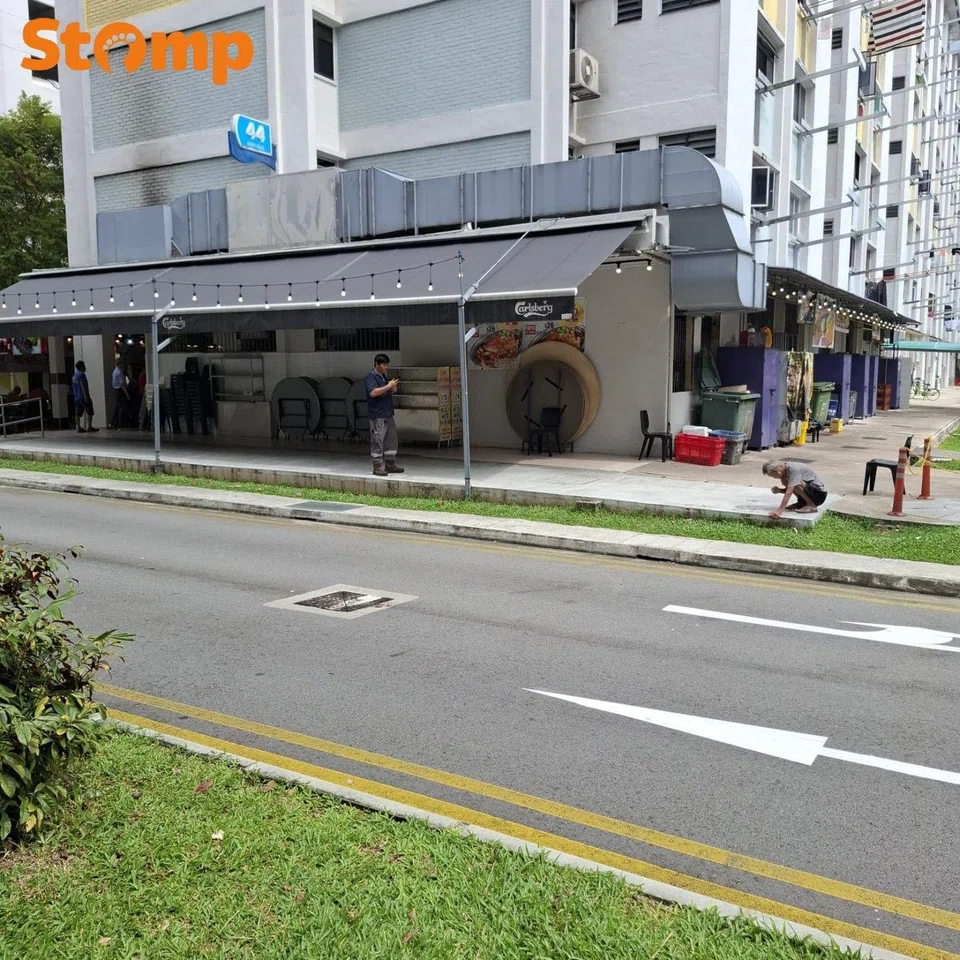 elderly twig artist creates portrait of young woman